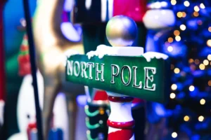 ChristmasP rops Clownfish WebR es 1 jpg 480x320