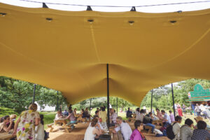 Clown Fish 810 2175 300x200