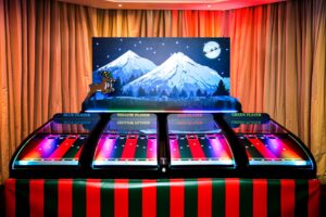 Clownfish Events Christmas Roll a Ball Reindeer Woodlands 1 scaled 1 300x200