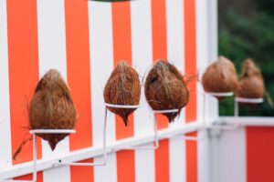 Coconut Shy 1 scaled 1 480x320