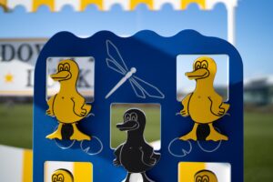 Down the Ducks Side Stall 3 scaled 1 300x200