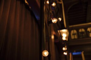 Festoon lamp posts Rhinefield house scaled 1 480x320