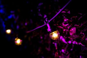 Garden Lighting Festoon and Coloured Uplighters Hire London Surrey Woodlands scaled 1 480x320