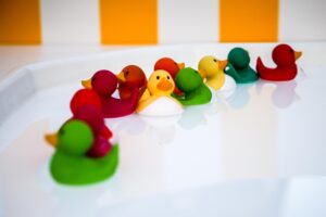 Hook A Duck Hire London Surrey Woodlands 300x200