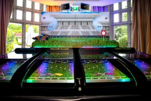 Roll a ball derby woodlands park corporate summer party scaled 1 480x320