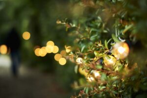 garden lighting package festoon scaled 1 300x200