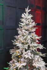 Christmas Fairground Grotto 7 683x1024